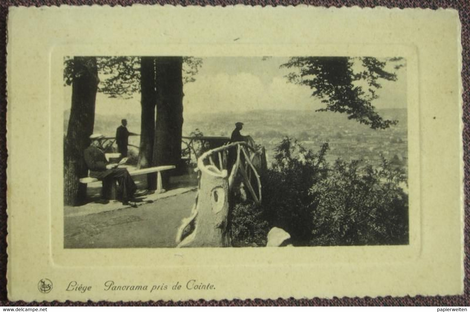 Liège - Panorama pris de Cointe