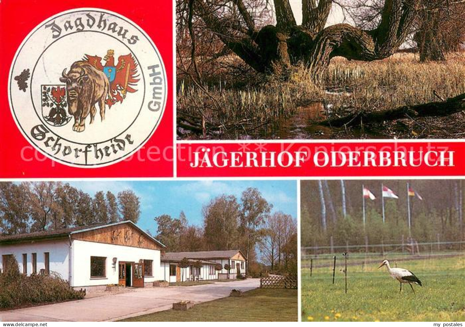 Liepe Jueterbog Jaegerhof Oderbruch Storch Uferboeschung