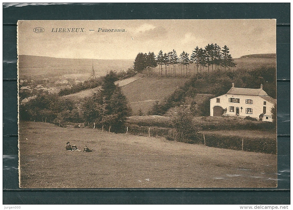 LIERNEUX: Panorama, niet gelopen postkaart (GA16737)