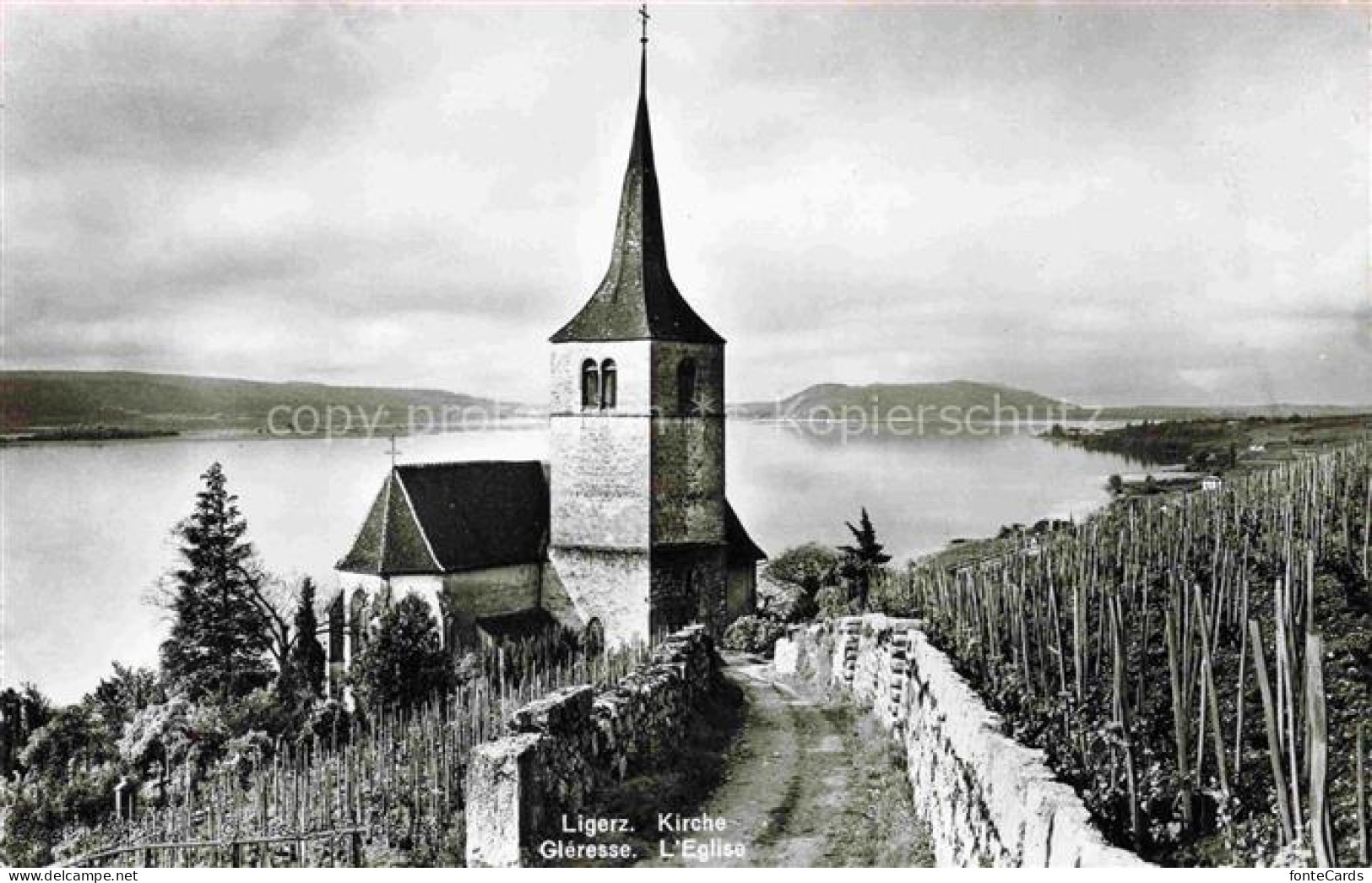 Ligerz Bielersee BE Panorama Kirche Weinberge Bielersee