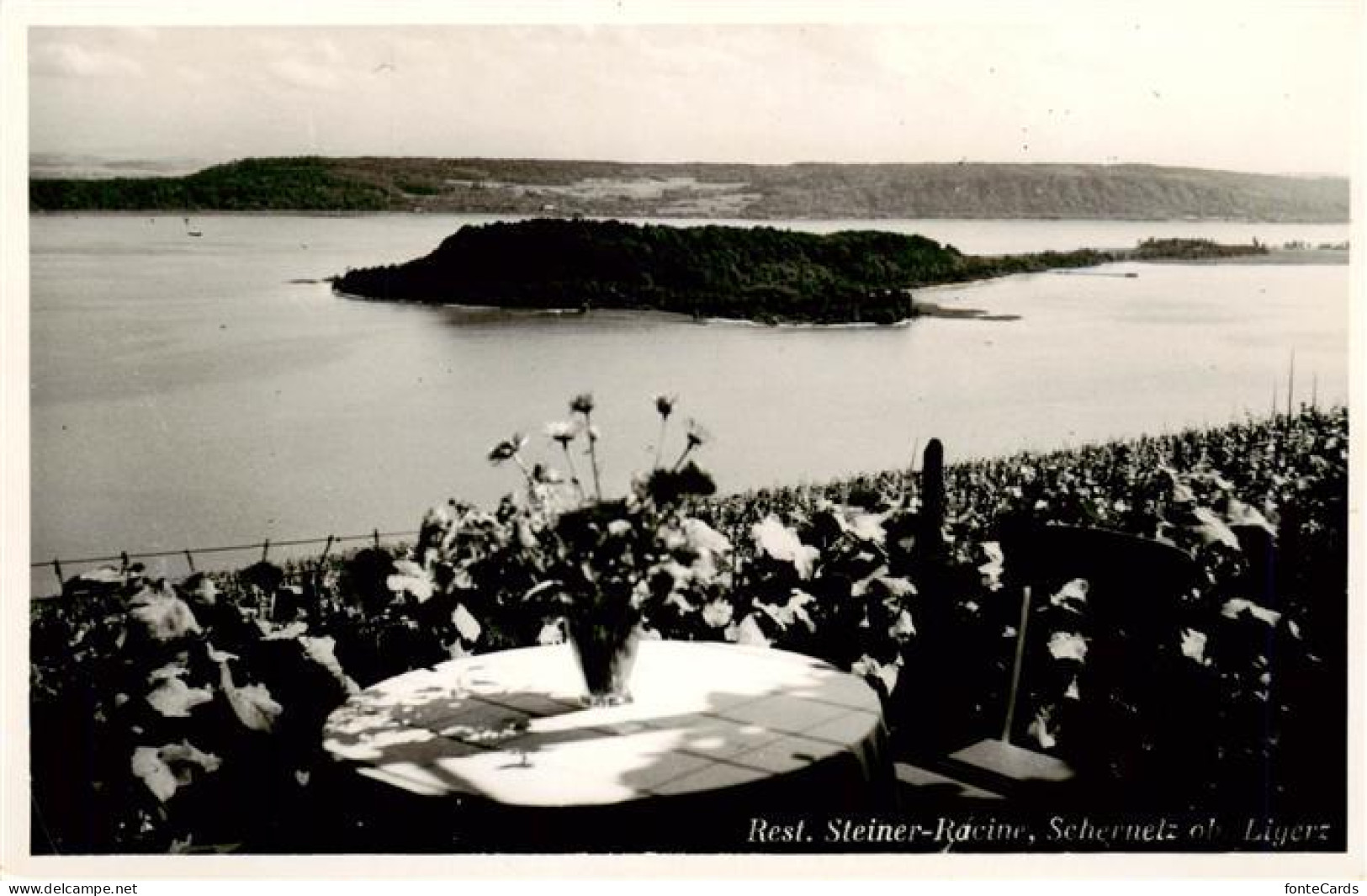 Ligerz Bielersee BE Panorama Restaurant Steiner Racine