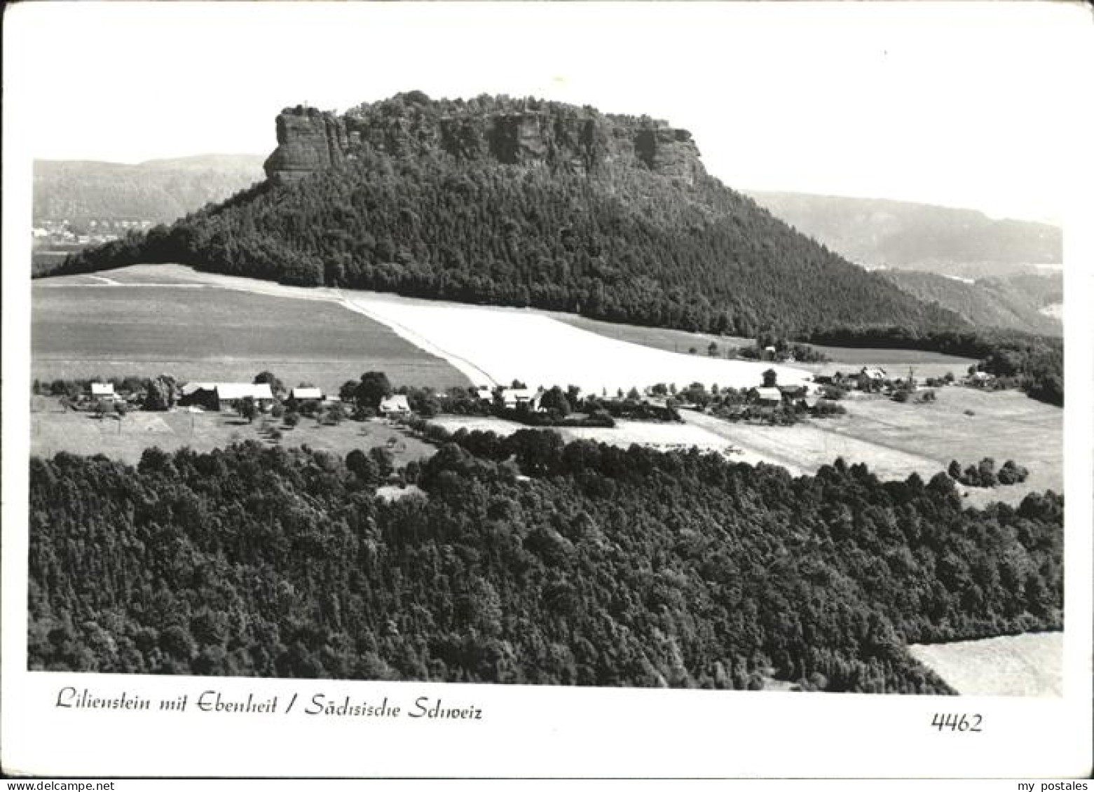 Lilienstein Fels Mit Ebenheit