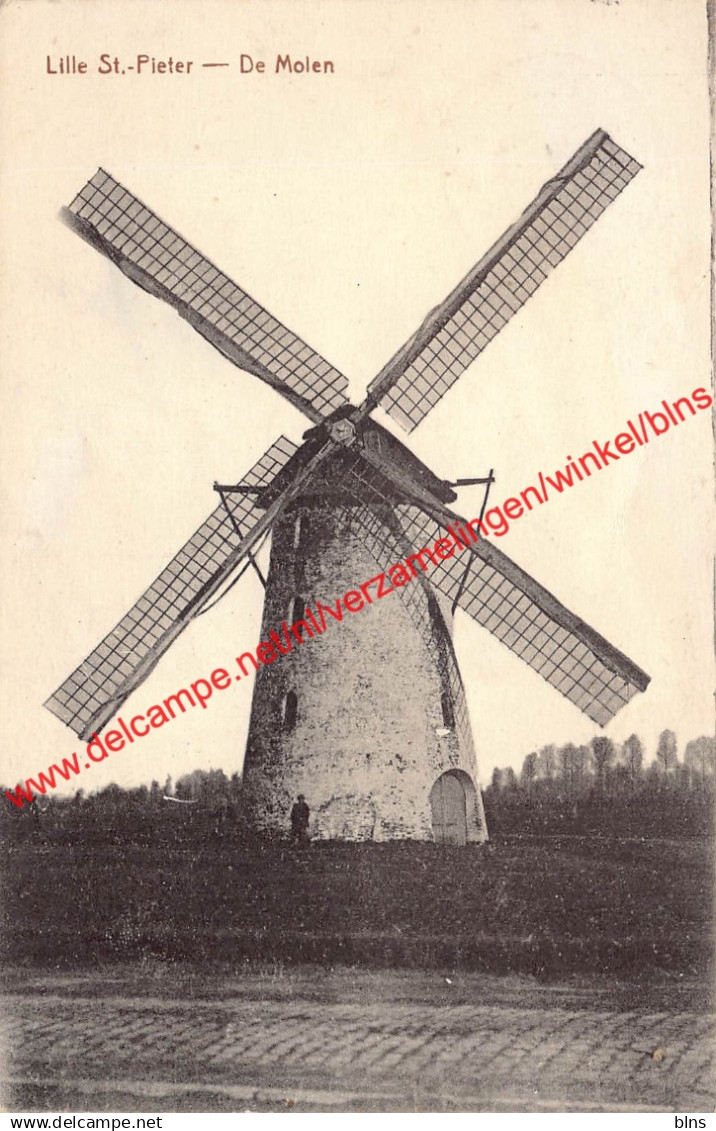 Lille St.-Pieter - De Molen - Lille
