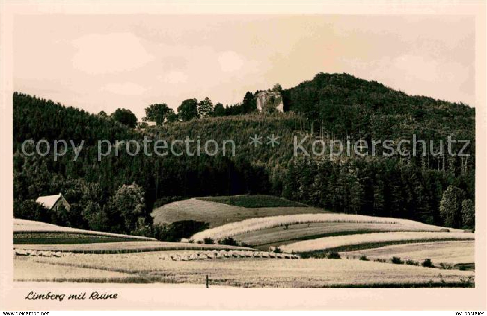 Limberg Cottbus mit Ruine