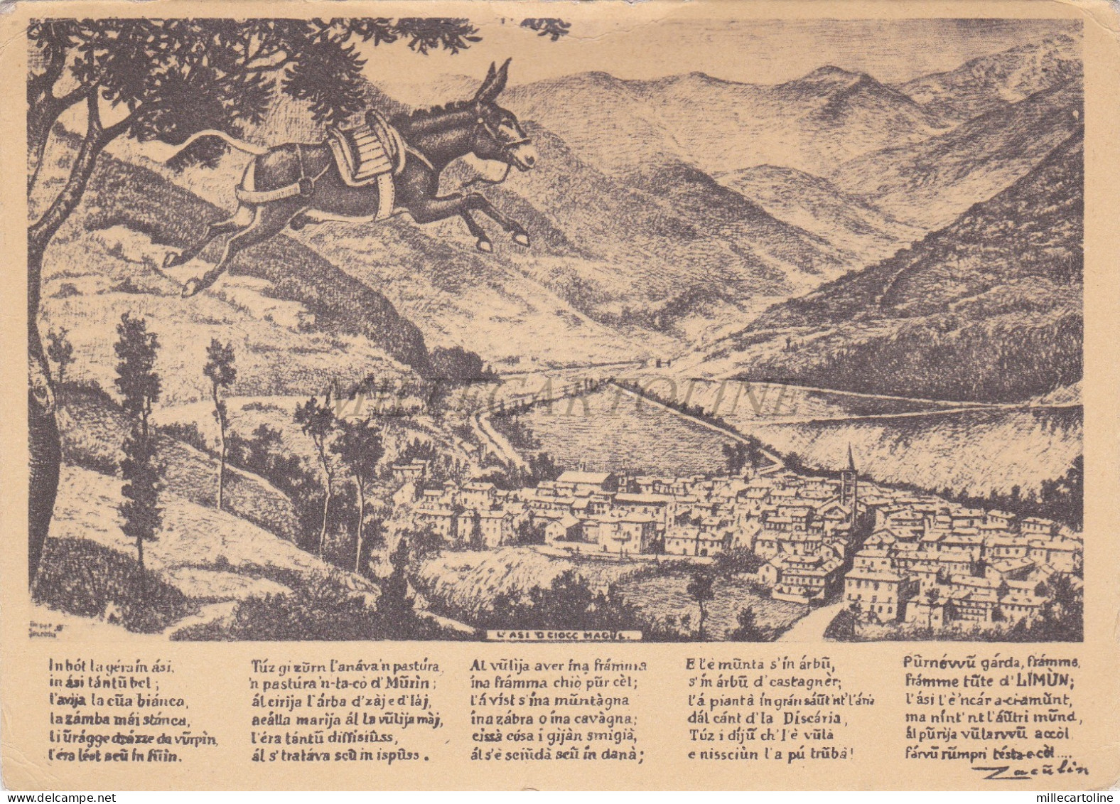 LIMONE PIEMONTE - Asino, Zaculin, Cartolina