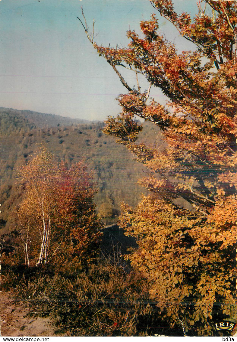 LIMOUSIN