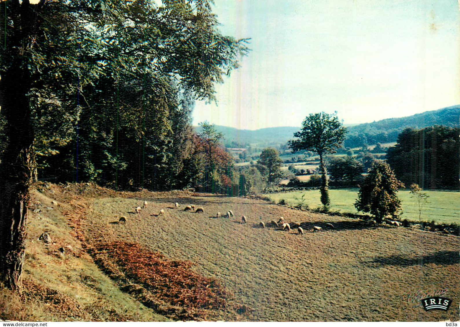 LIMOUSIN PITTORESQUE