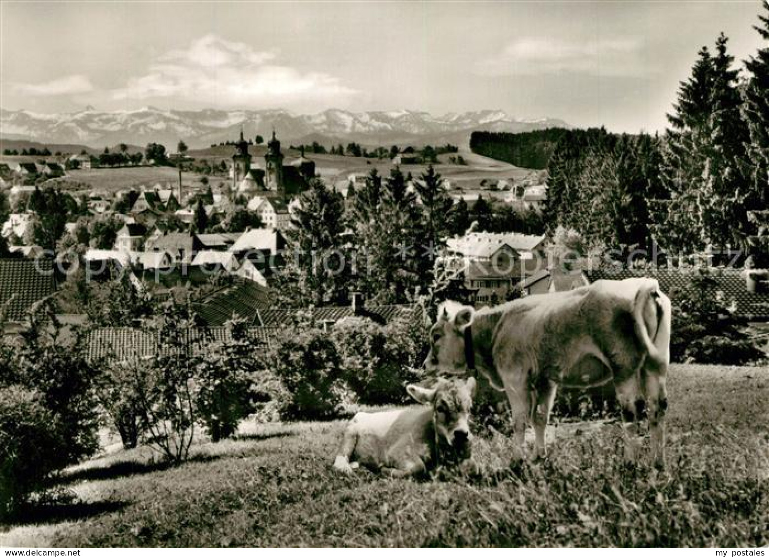 Lindenberg Allgaeu Panorama