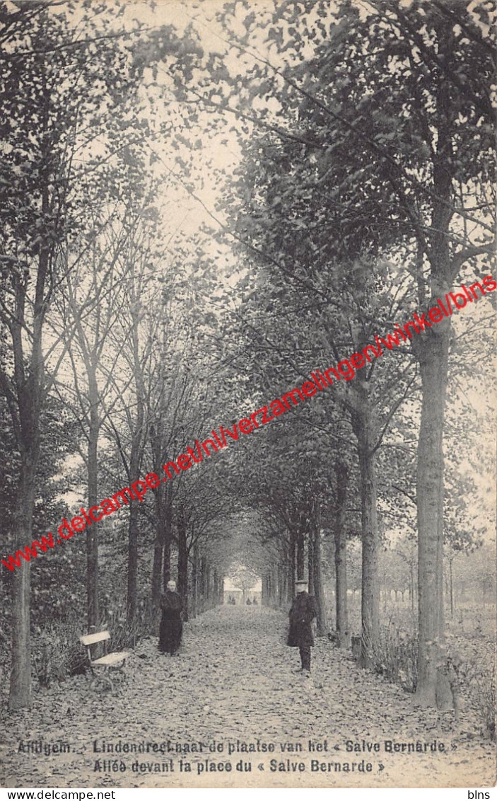 Lindendreef naar de plaats van het Salve Bernarde - Affligem
