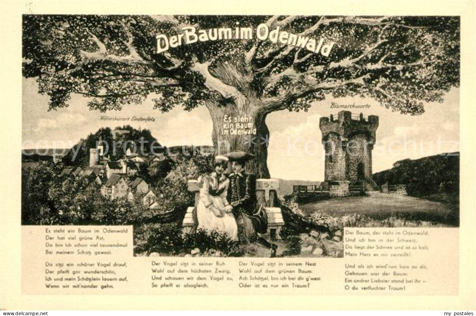 Lindenfels Odenwald Baum im Odenwald Bismarkwarte