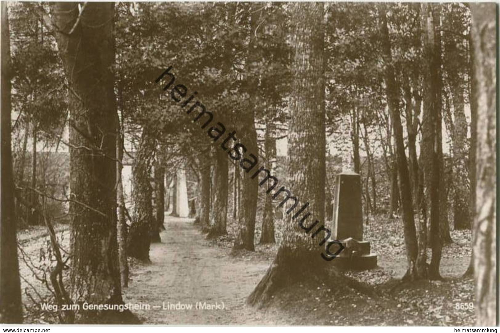 Lindow (Mark) - Weg zum Genesungsheim - Foto-AK 20er Jahre - Verlag Karl Ellings Buchhandlung Lindow