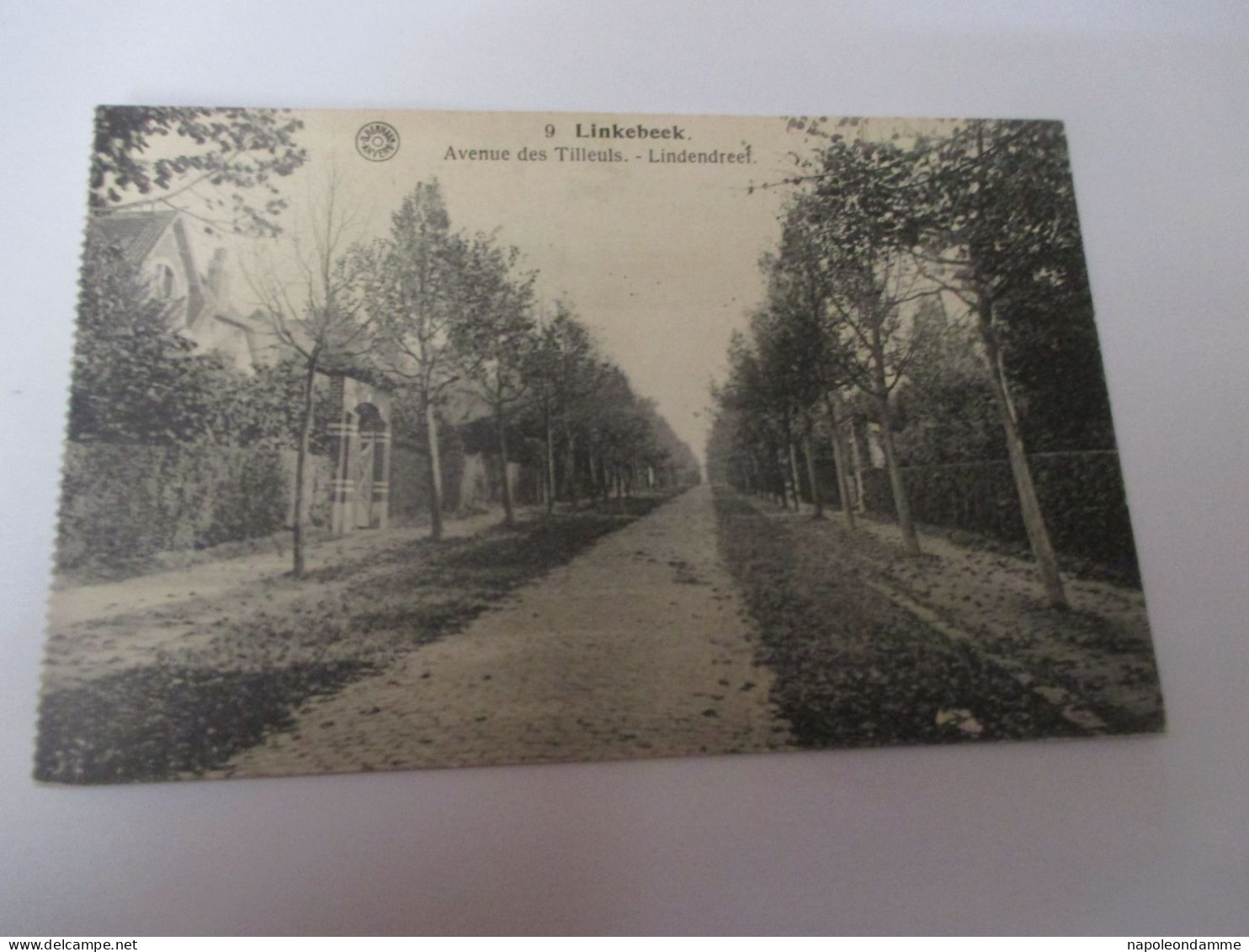 Linkebeek, Avenue des Tilleuls