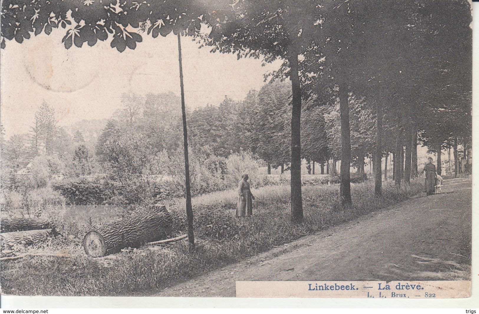 Linkebeek - la Drève