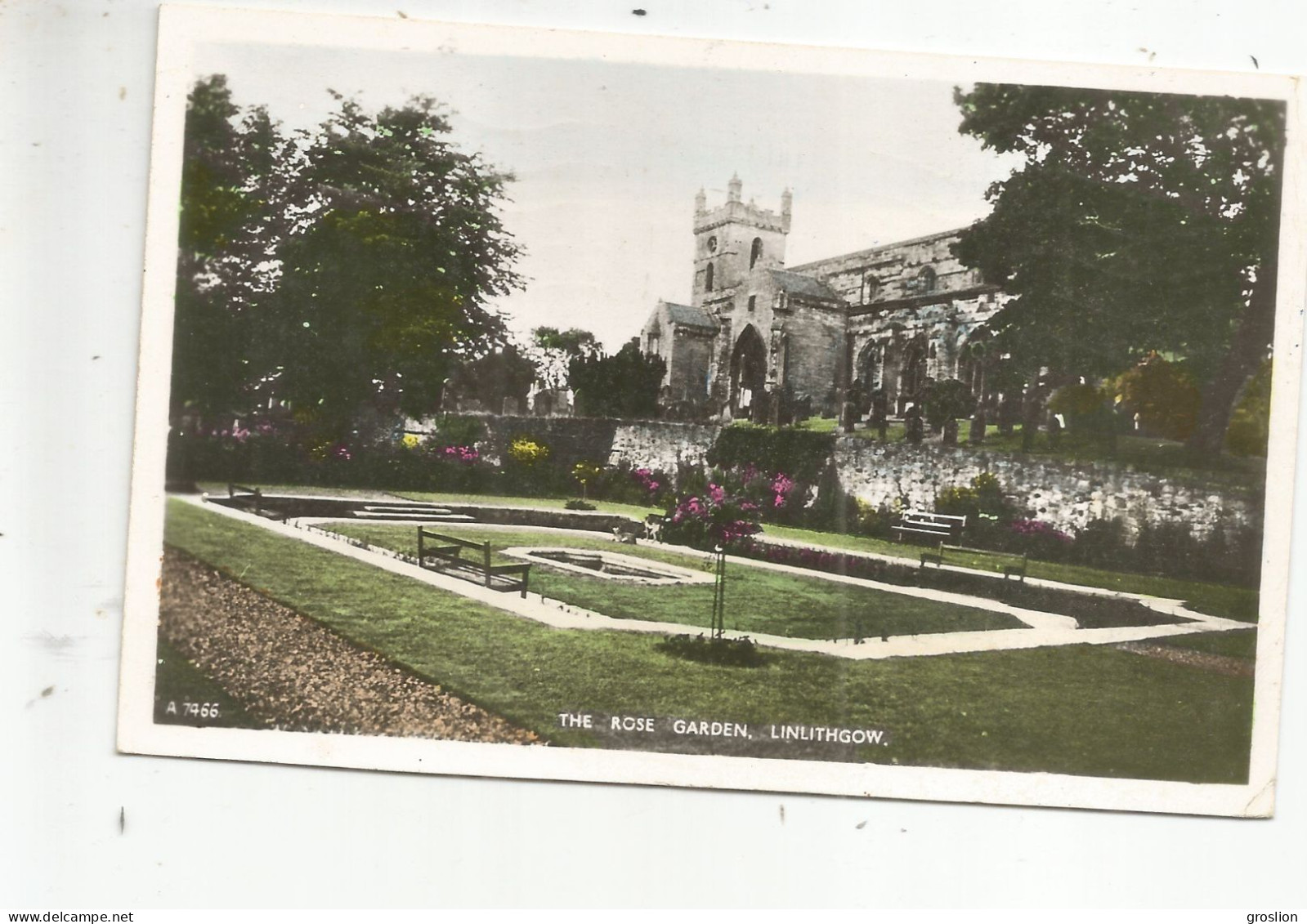 LINLITHGOW THE ROSE GARDEN 7966