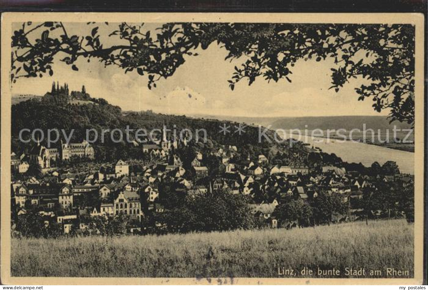 Linz Rhein