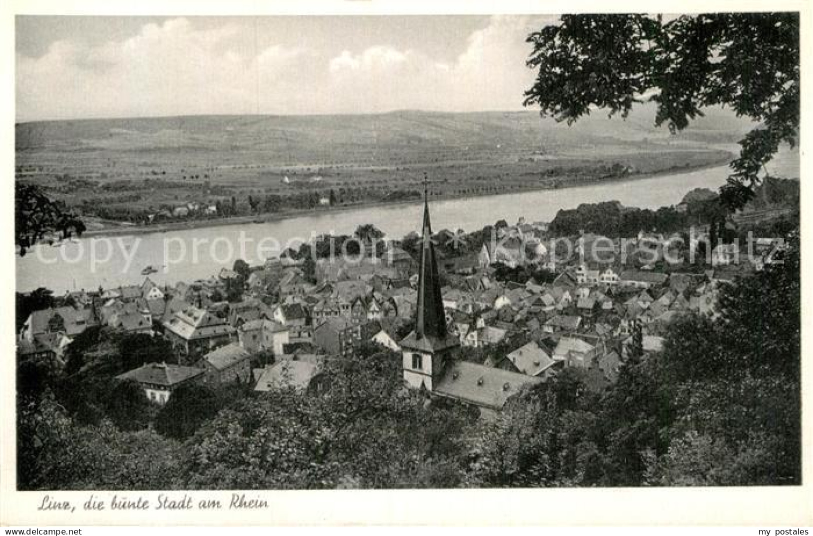 Linz Rhein