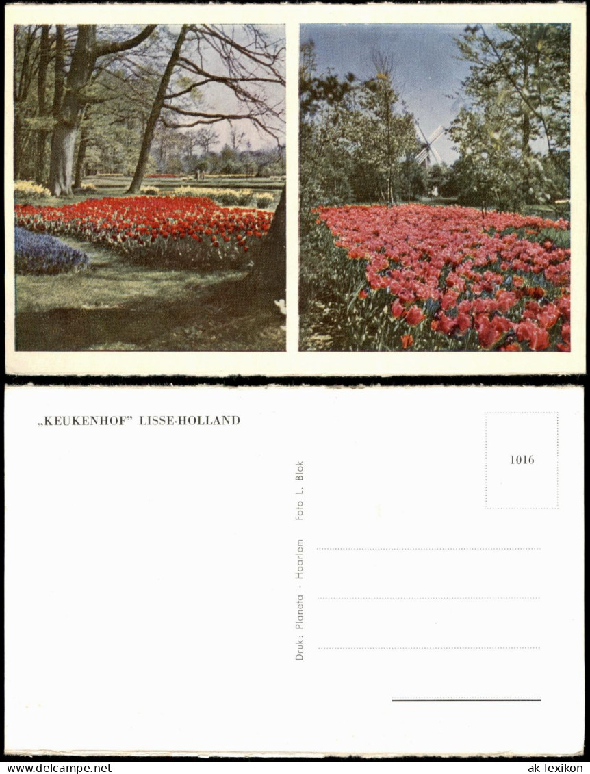 Lisse 2-Bild-Karte Blumenfelder des KEUKENHOF LISSE-HOLLAND 1960