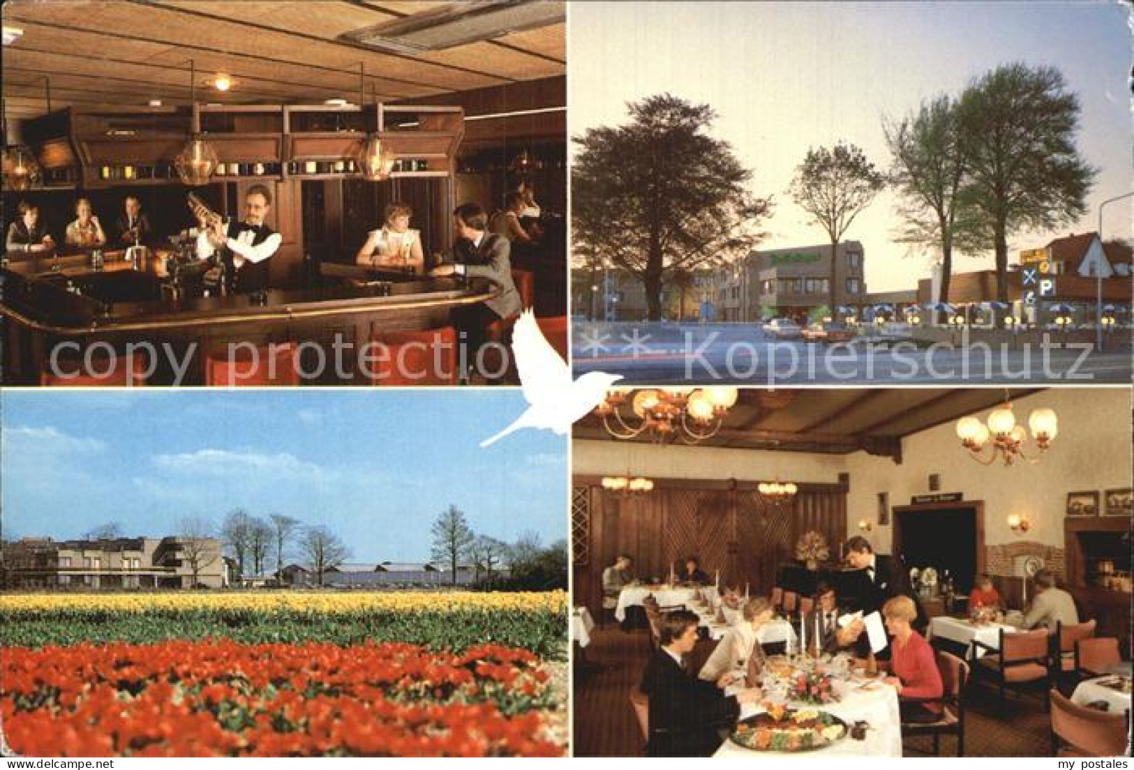 Lisse De Nachtegaal Van Lisse