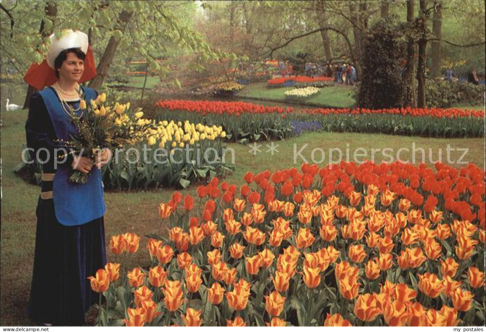 Lisse Keukenhof