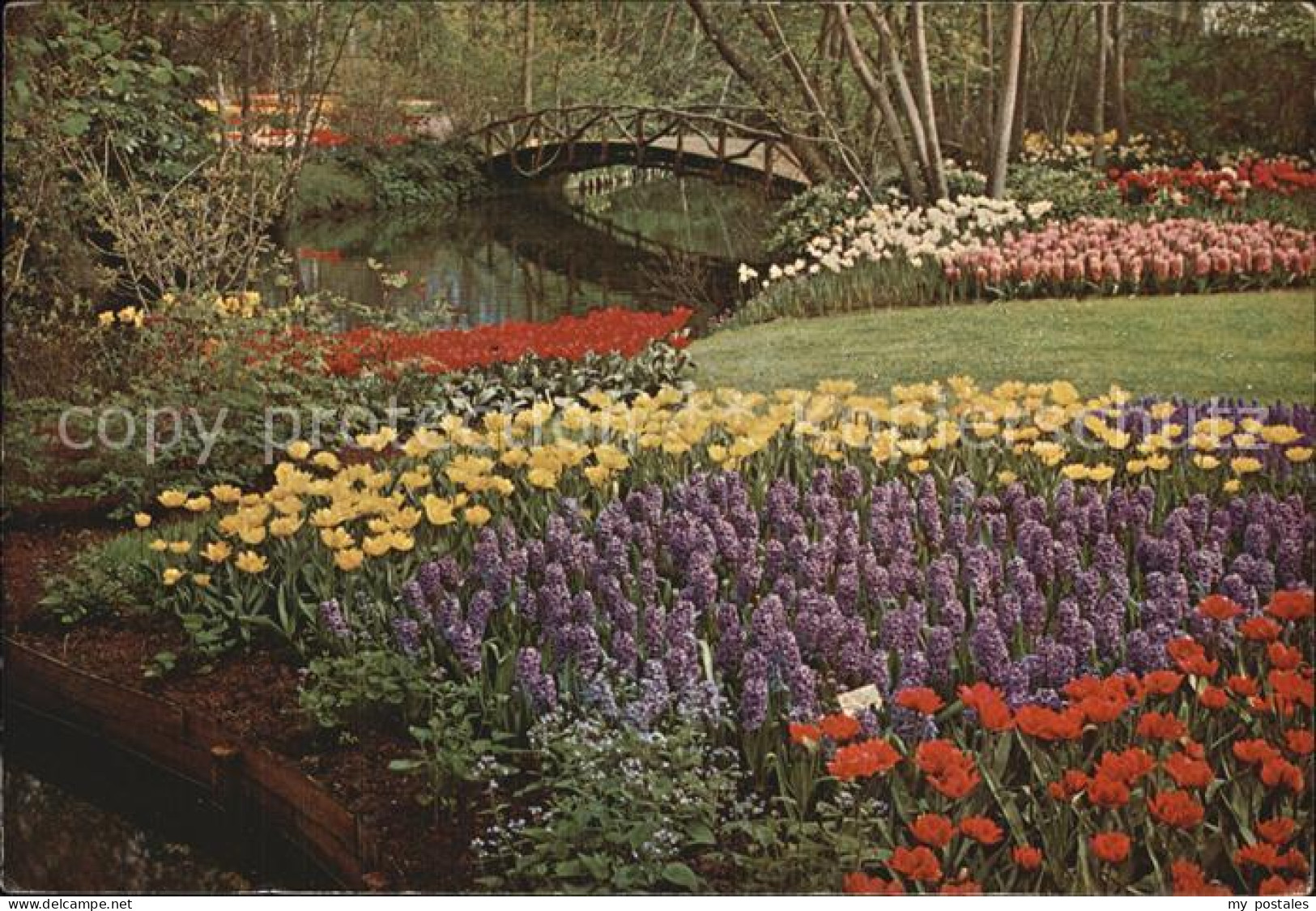 Lisse Keukenhof