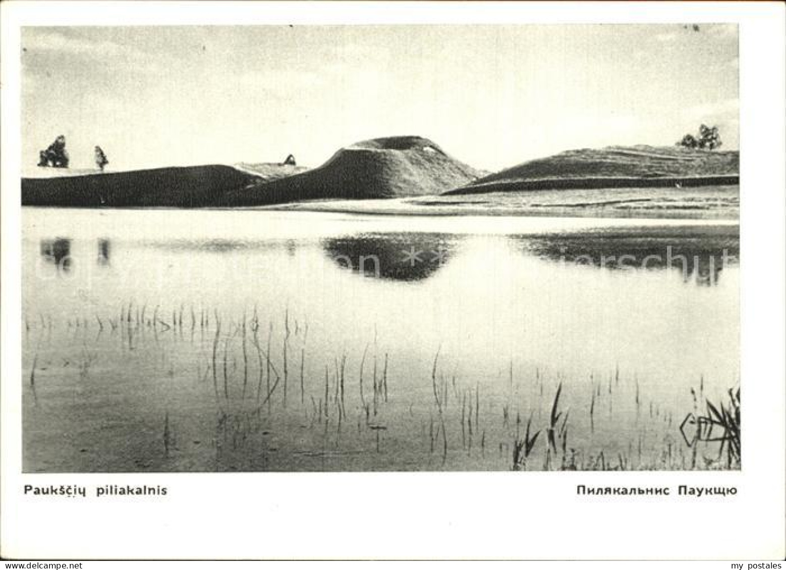 Litauen Pauksciu piliakalnis