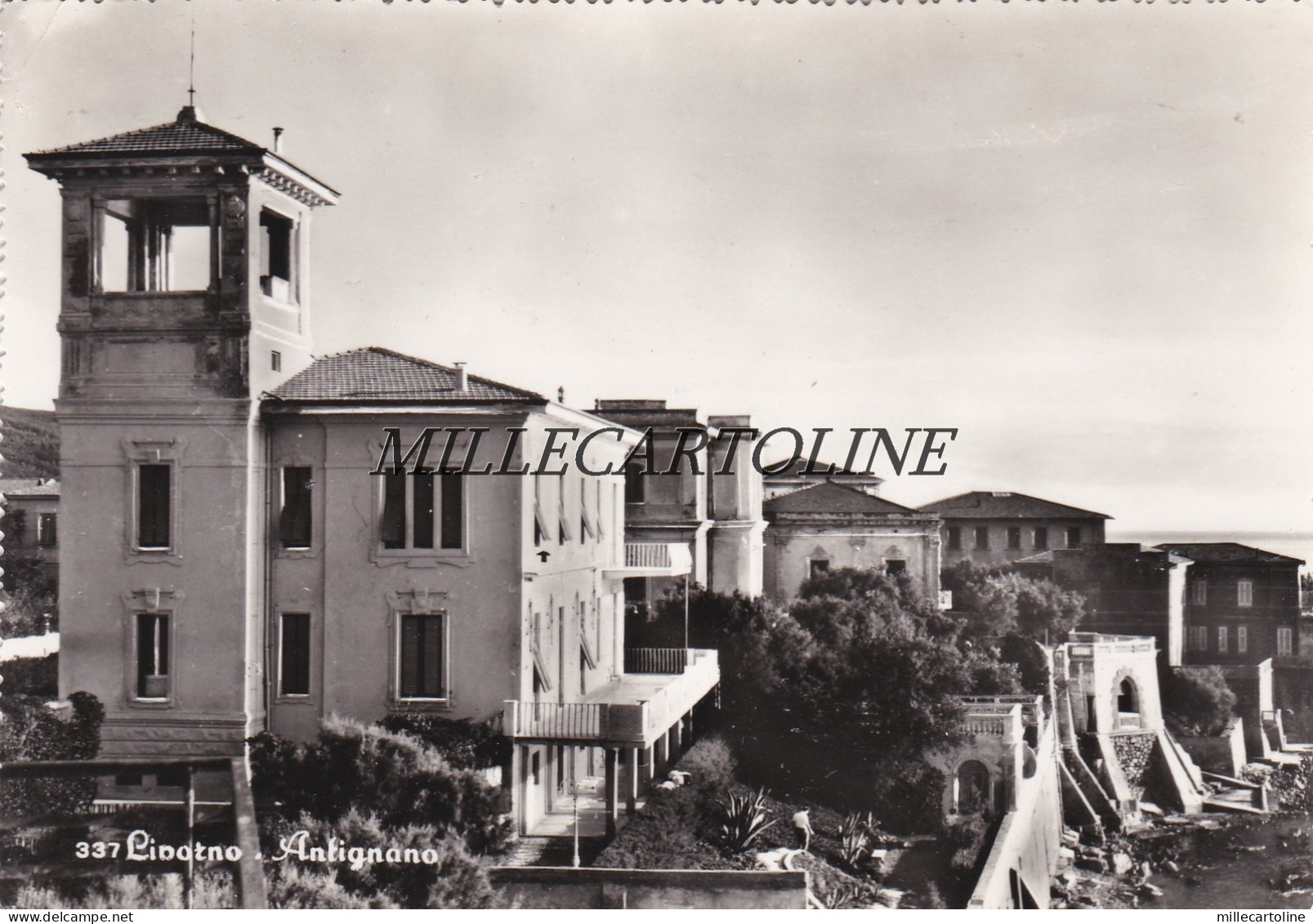 LIVORNO - Antignano    1954