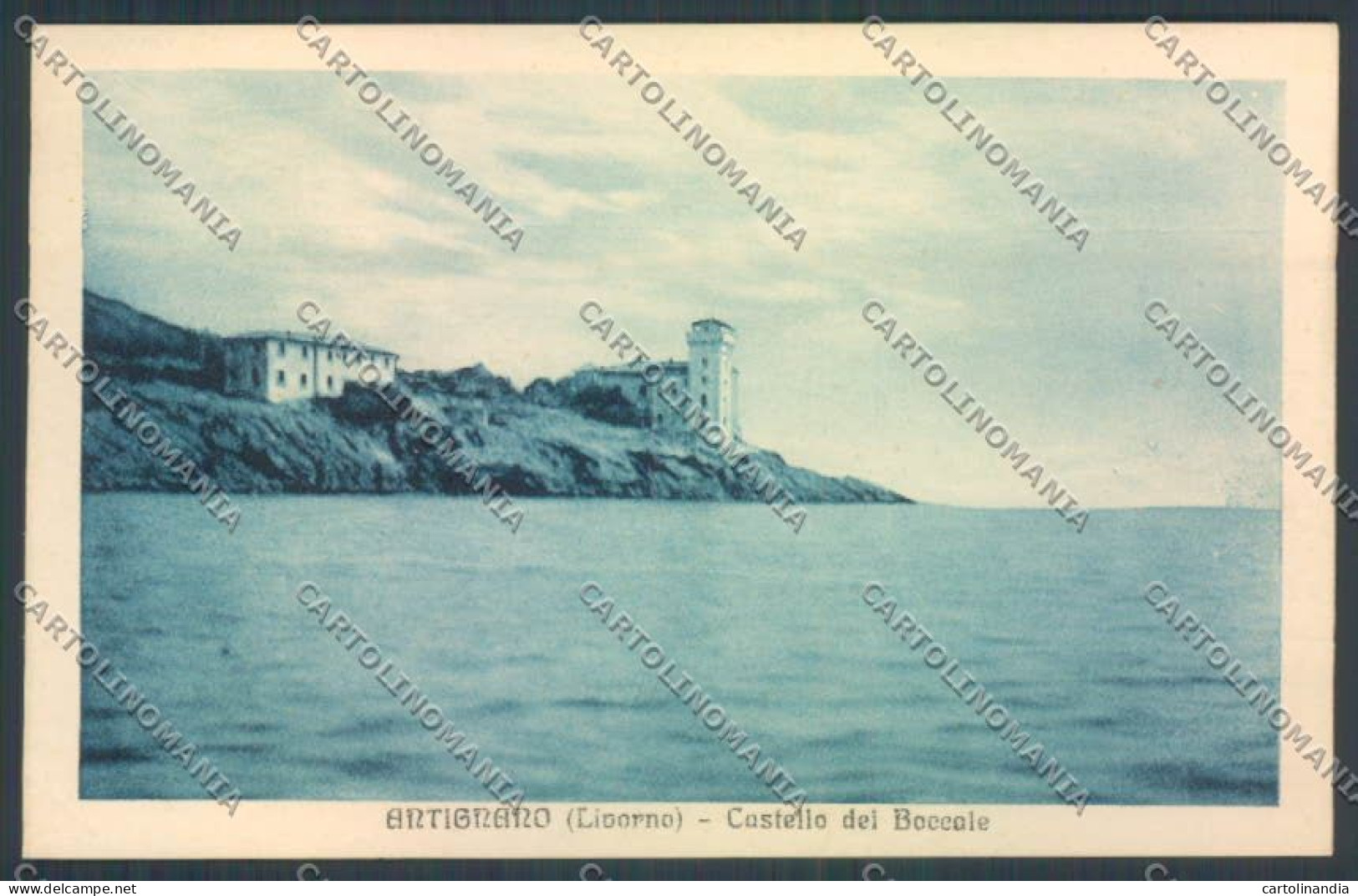 Livorno Antignano cartolina ZG1649