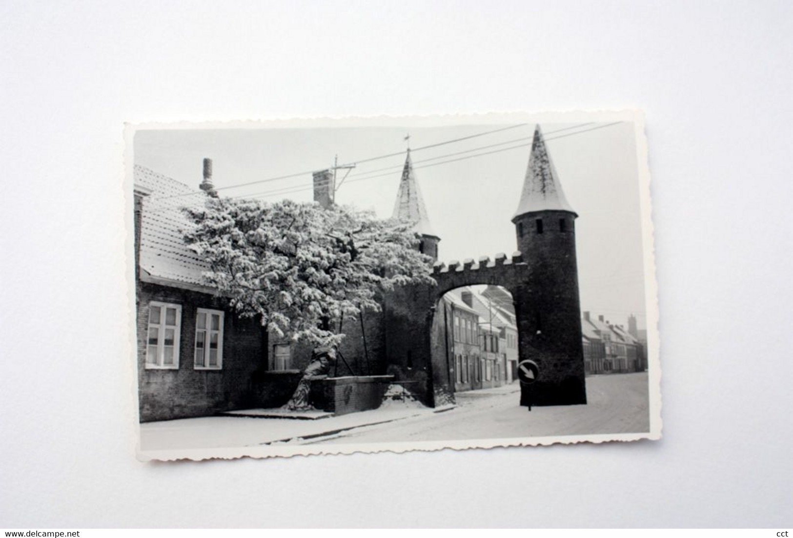 Lo  Lo-Reninge    FOTOKAART van de Caesarsboom in de sneeuw