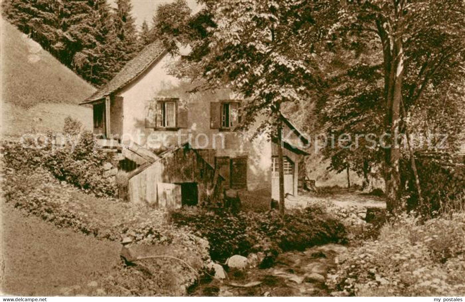 Loeffeltal Hinterzarten Schwarzwaldhaus