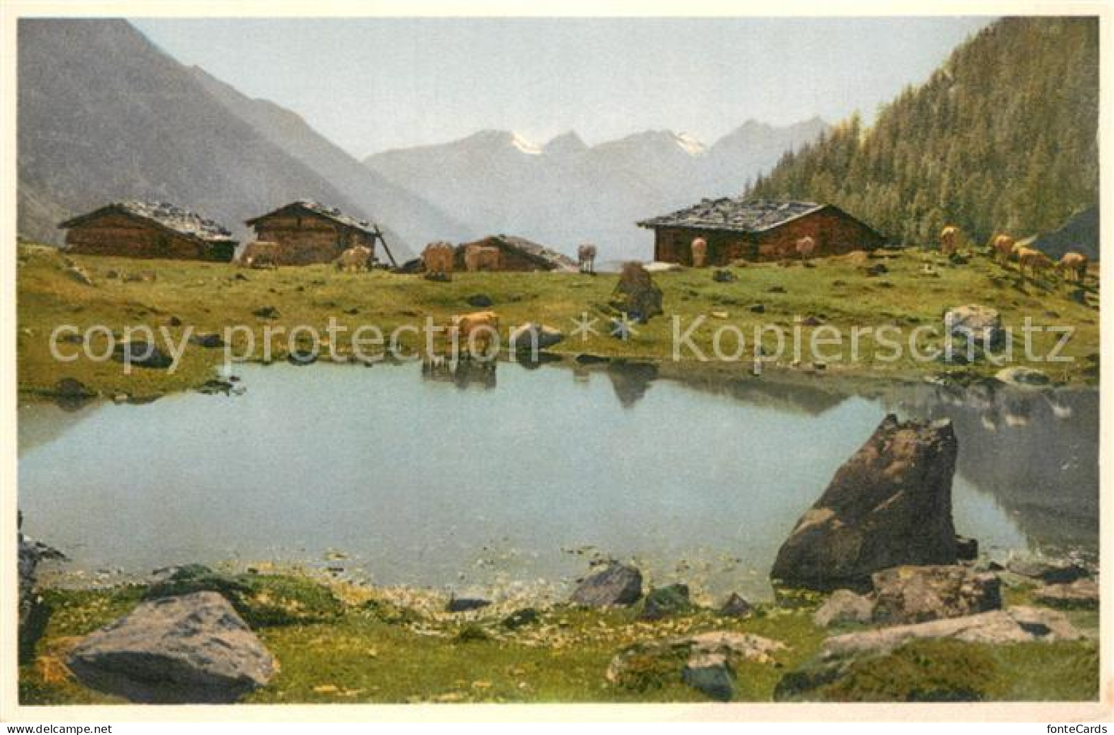 Loetschen Blatten Jafleralp mit Rothoerner