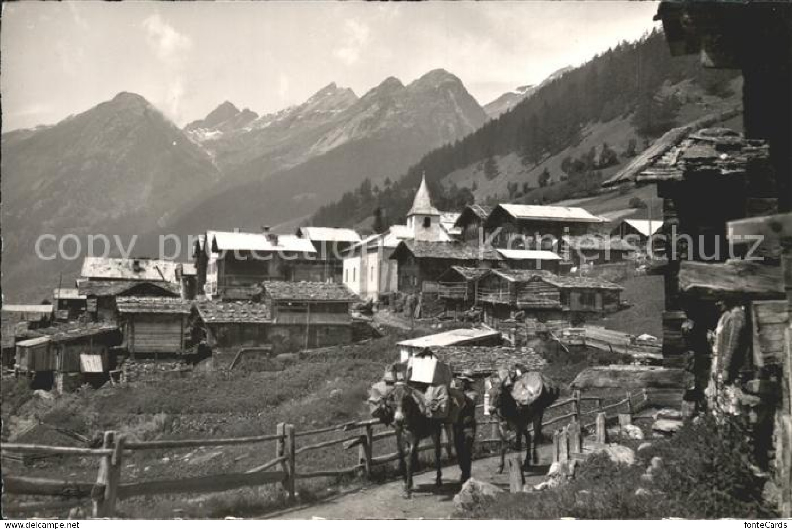 Loetschental Wiler Rothoerner Esel