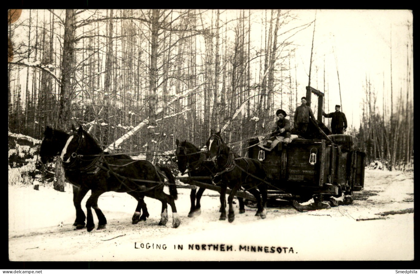 Logging In Northern Minnesota