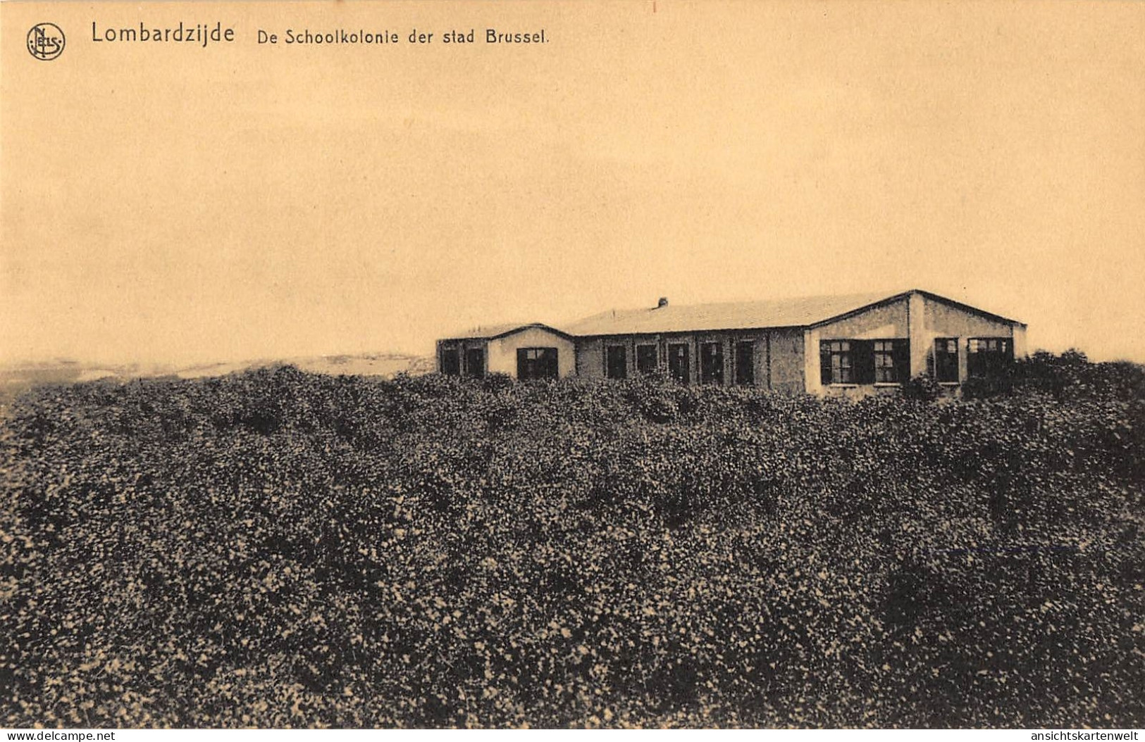 Lombardzijde De Schoolkolonie der stad Brussel ngl #149.454