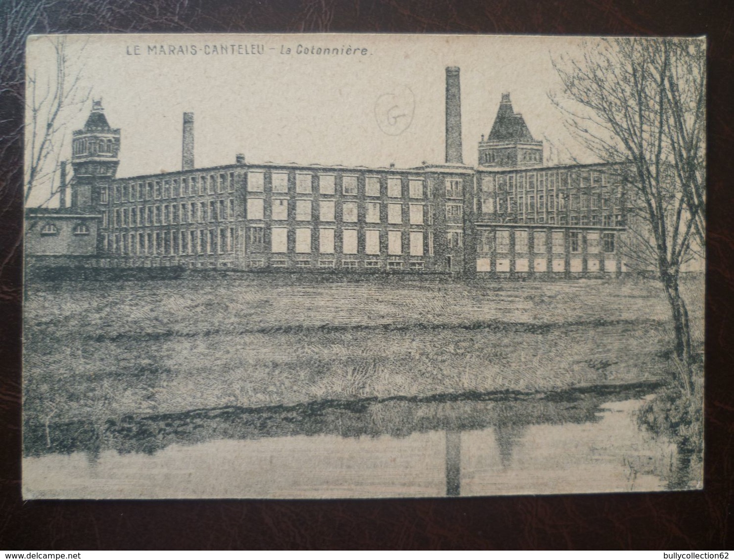 LOMME-    LA COTONNIERE