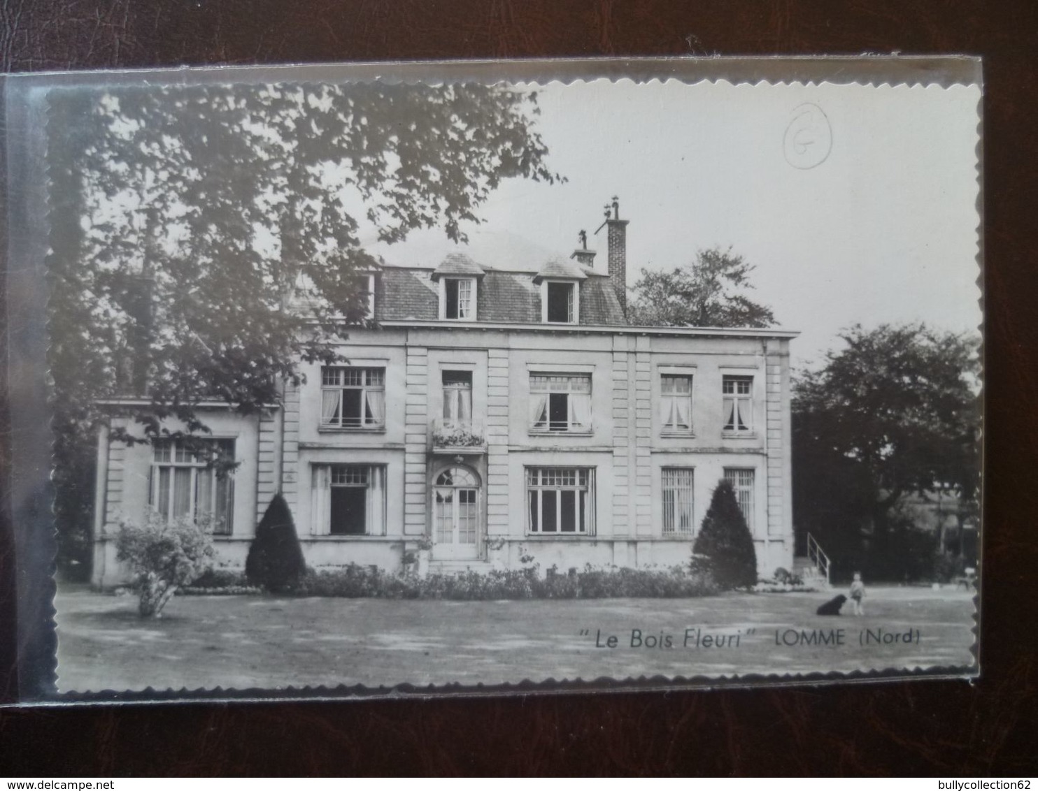 LOMME-  le bois fleuri