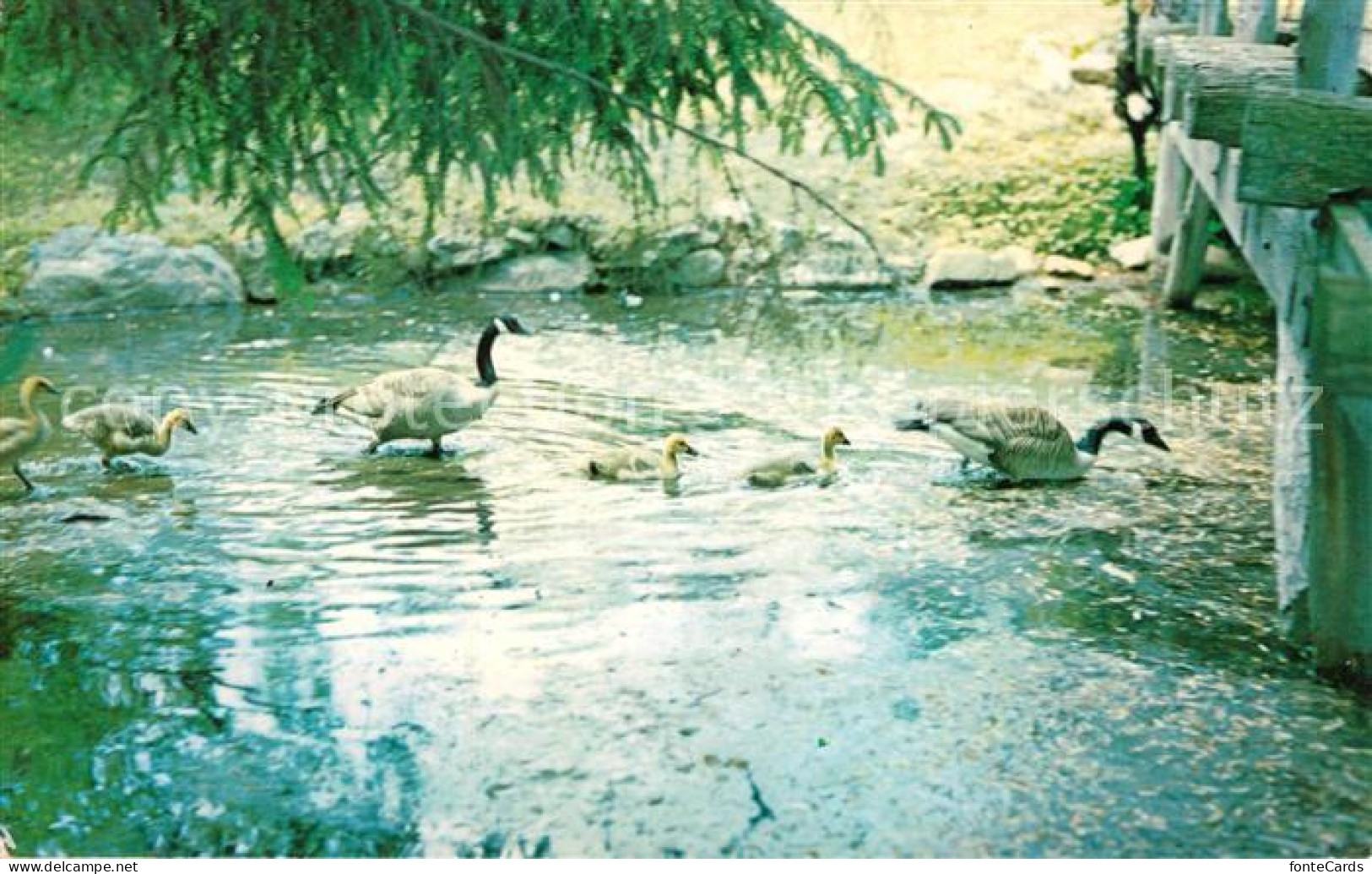 Long Island City Bailey Arboretum