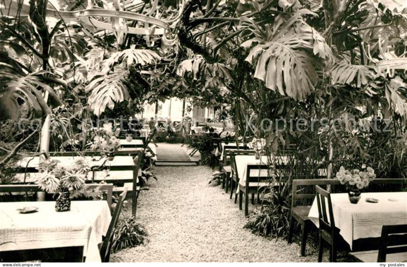 Lorch Wuerttemberg Waldcafe Muckensee