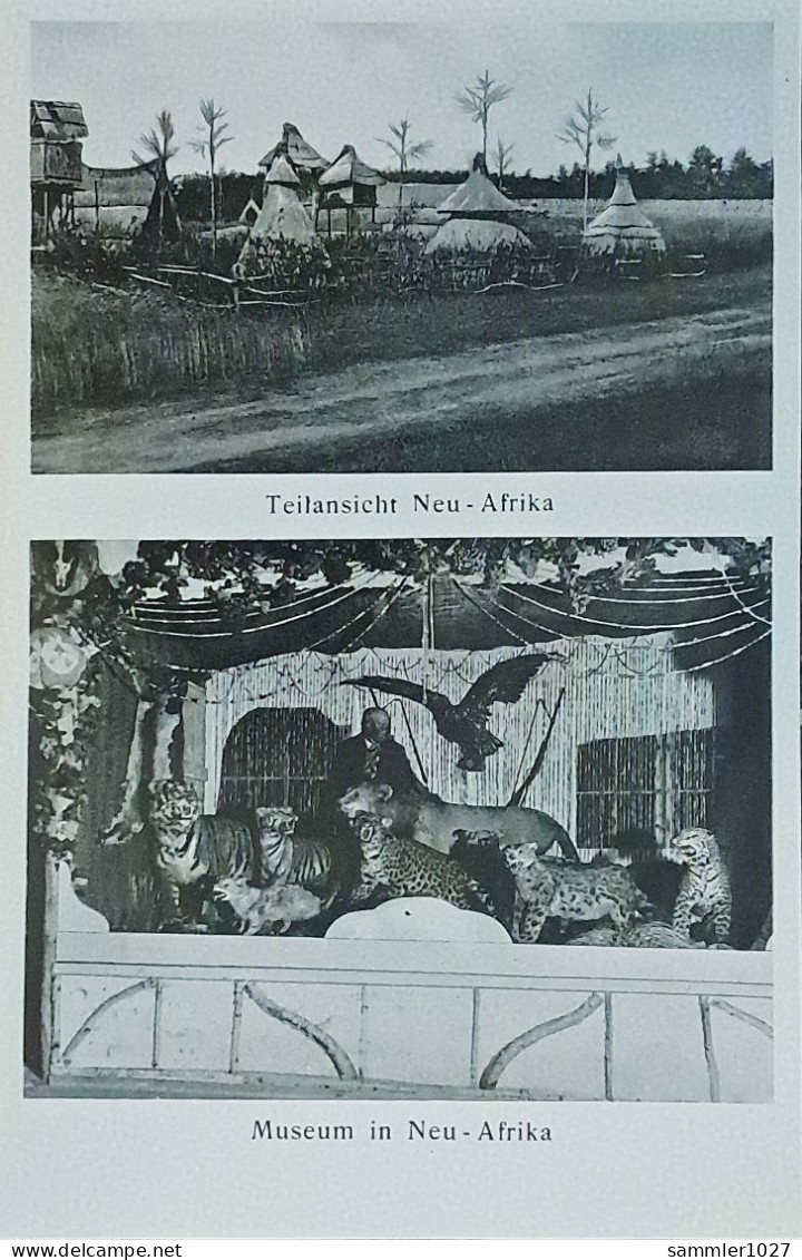 Los  vom 14.05  Ansichtskarte Neu-Afrika in Ahrensdorf bei Templin  1934