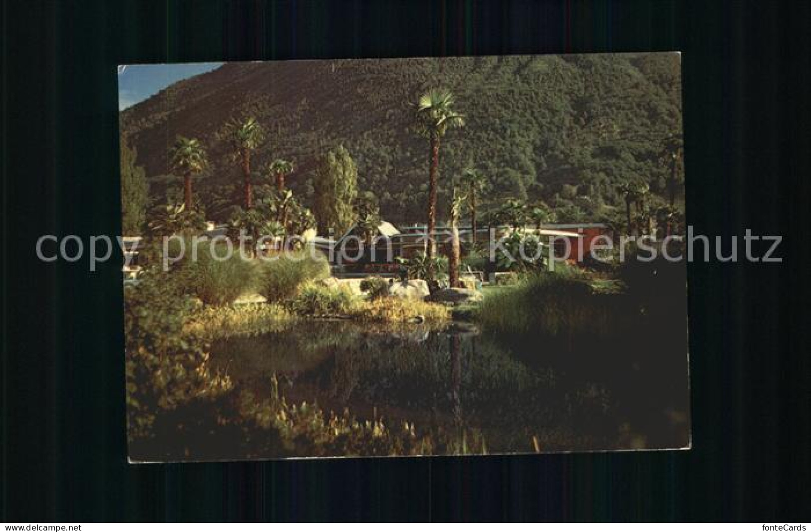 Losone Albergo Losone