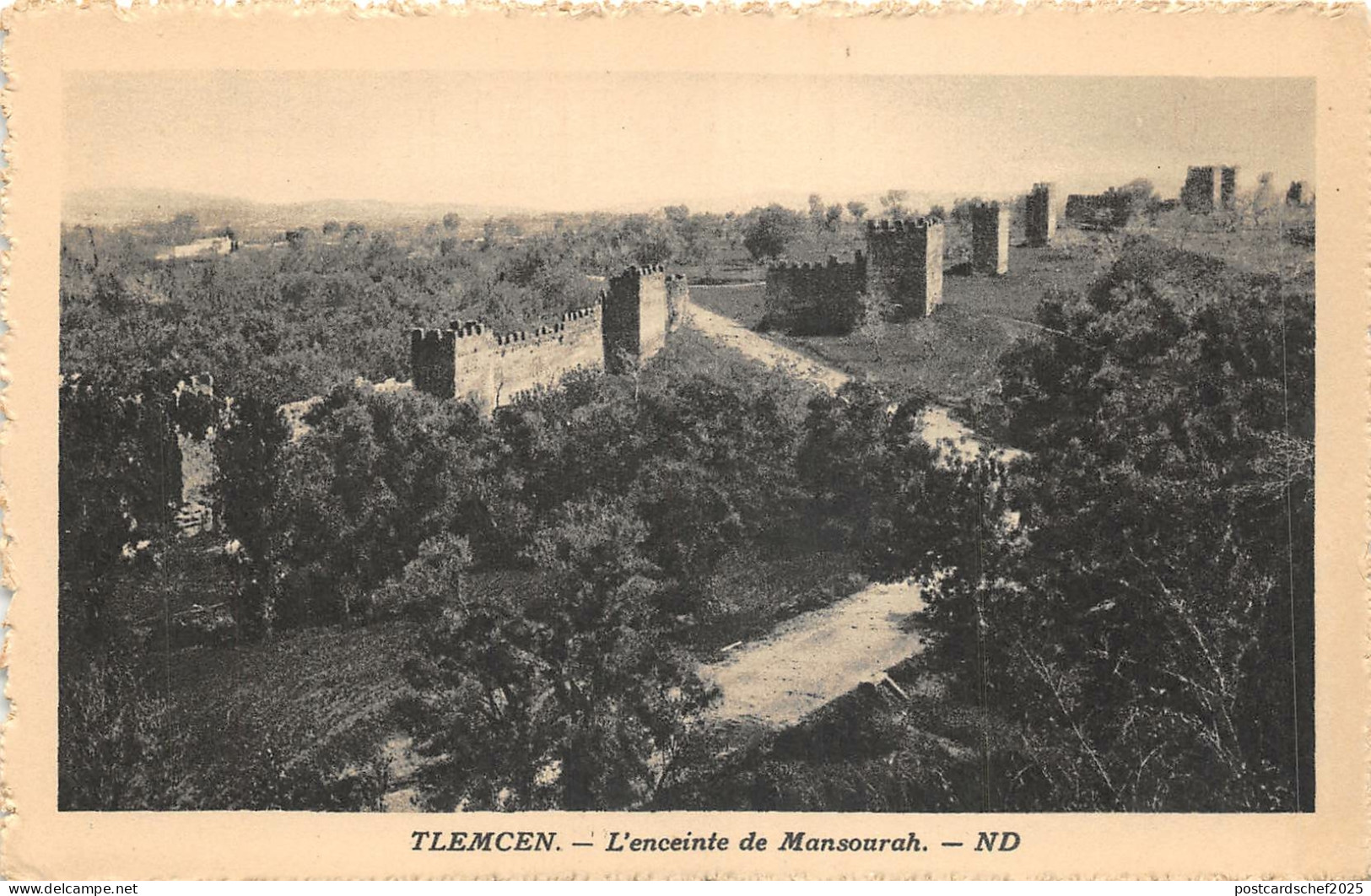 Lot 62 hotel transatlantique advertising tlemcen enciente de mansourah algeria
