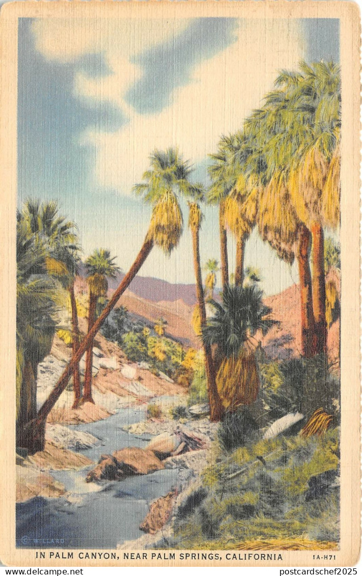 Lot112 usa california  in palm canyon near palm springs
