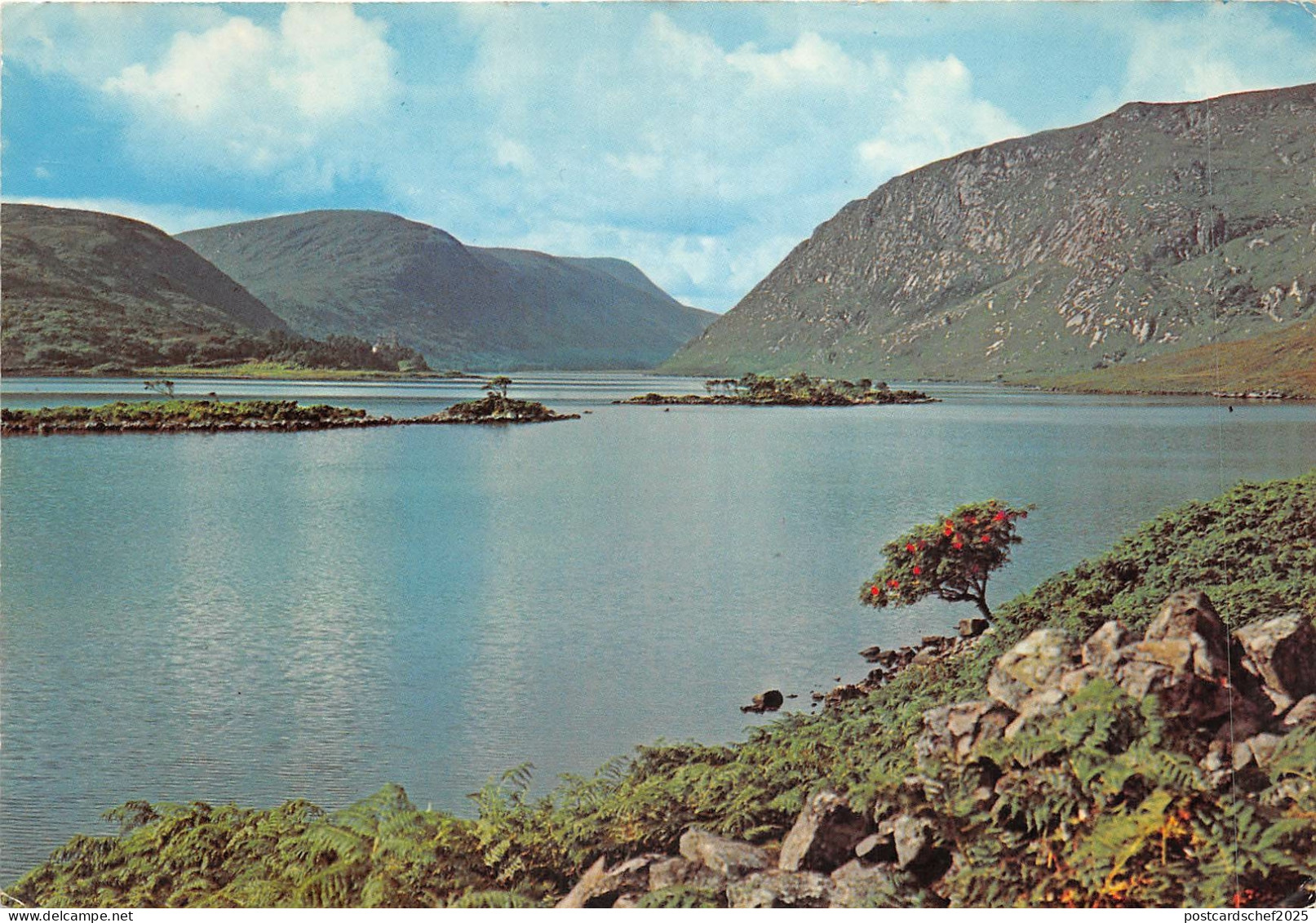 Lot141 uk glenveach donegal ireland