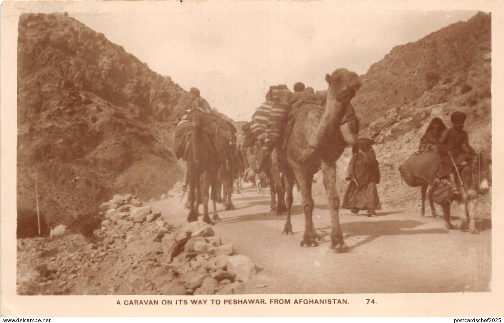 Lot142 real photo pakisan a caravan on way to peshawar from afganistan camel