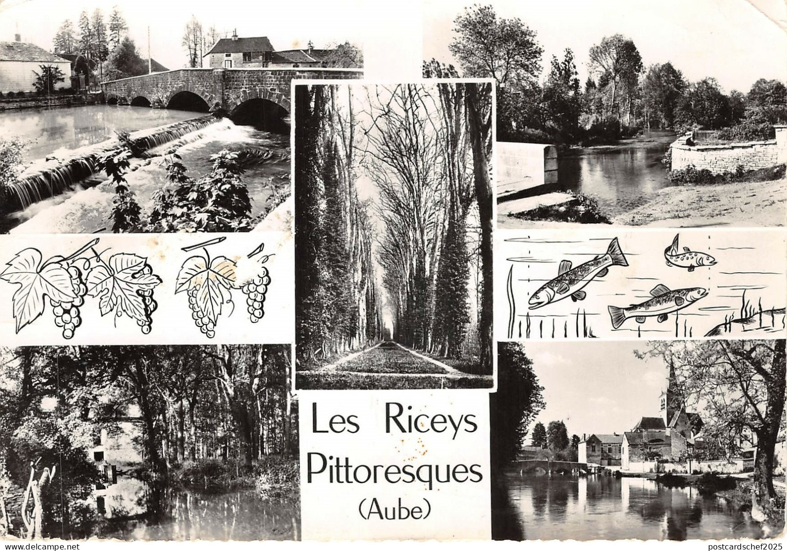 Lot231  france les riceys pittoresques aube