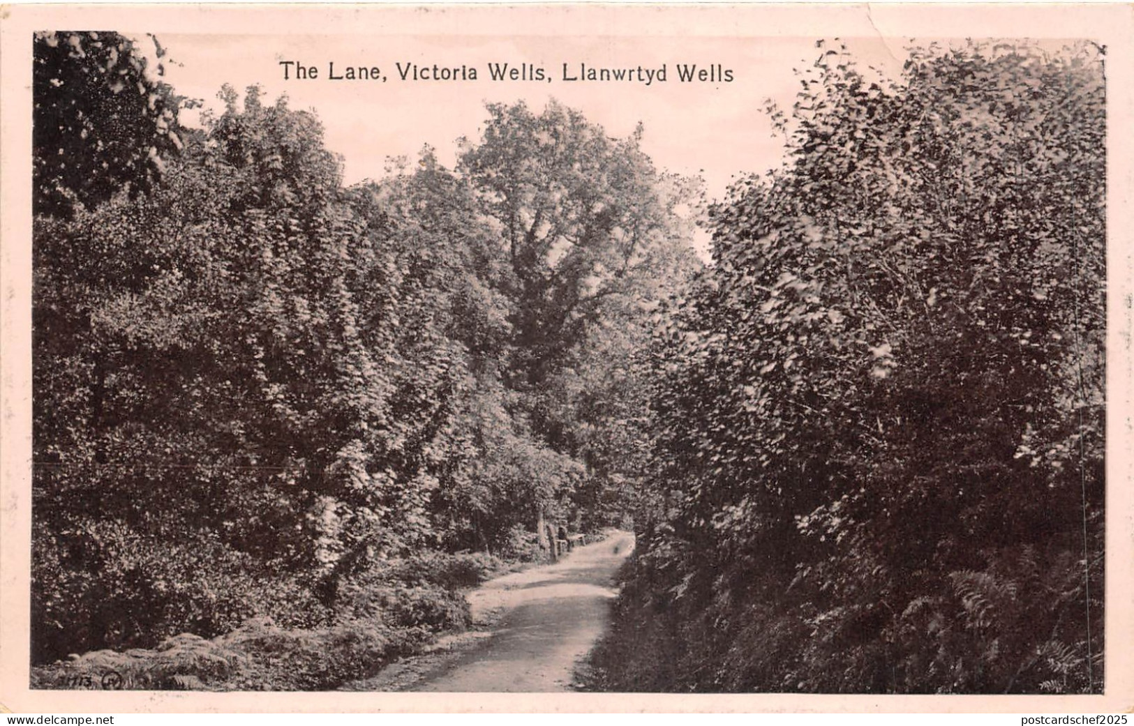 lot402 the lane victoria wells llanwrtyd wells  uk