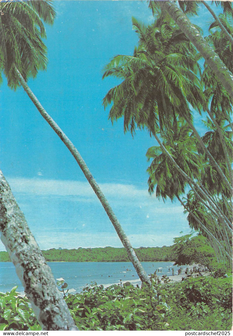 lot408 Costa Rica Limon Playa de cahuita
