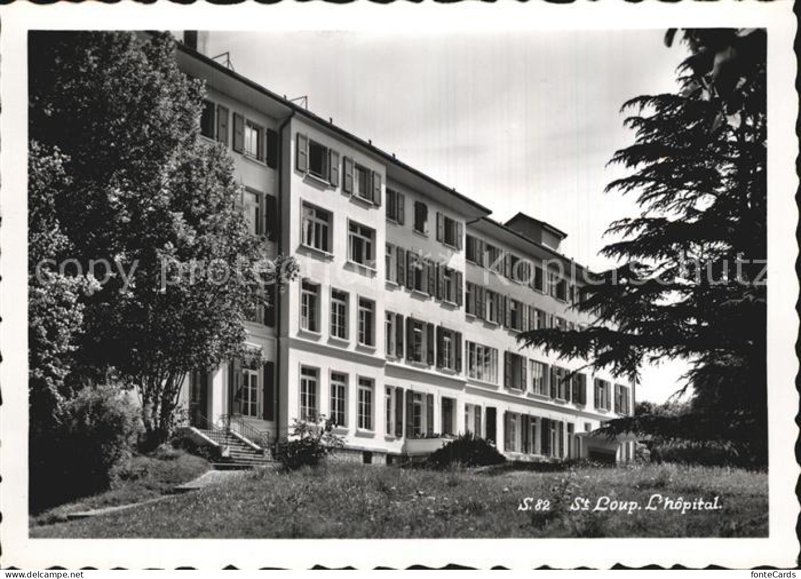 Loup Pompaples St Hospital