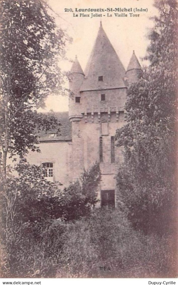 LOURDOUEIX SAINT MICHEL - La Plaix Joliet - La Vieille Tour - très bon état