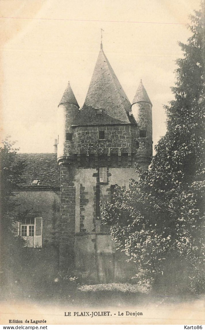 lourdoueix st michel * le donjon du château du plaix joliet