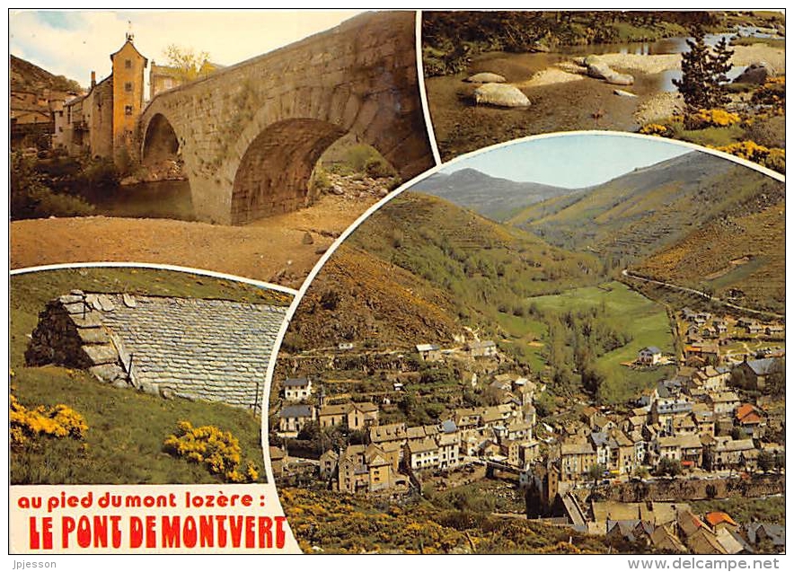 LOZERE  48  LE PONT DE MONTVERT  VUES MULTIPLES